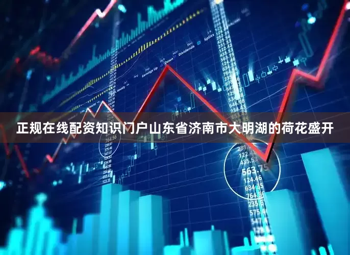 正规在线配资知识门户山东省济南市大明湖的荷花盛开