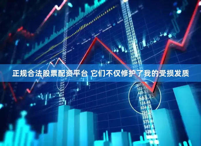 正规合法股票配资平台 它们不仅修护了我的受损发质
