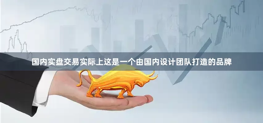 国内实盘交易实际上这是一个由国内设计团队打造的品牌